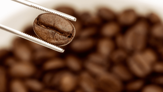 Exploring Specialty Coffee: A Journey of Quality, Flavor, and Ethical Sourcing - Sueños Coffee Co.
