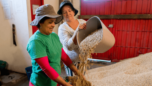 Empowering Women Through Coffee: Supporting Women-Owned Coffee Roasters - Sueños Coffee Co.